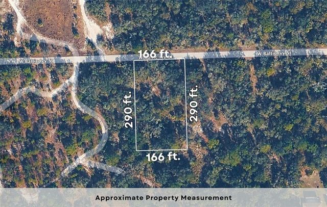 12504 W BALTIC IVY STREET, Crystal River, FL 34428