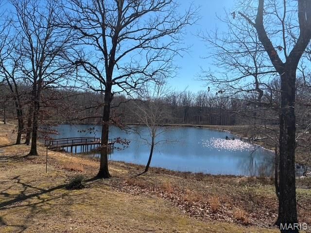 3058 County Road 553, Poplar Bluff, MO 63901