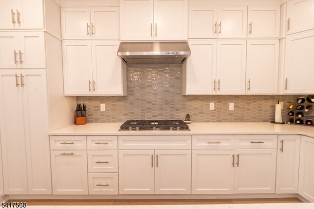 18 Flower Horn Blvd, Randolph Twp., NJ 07869