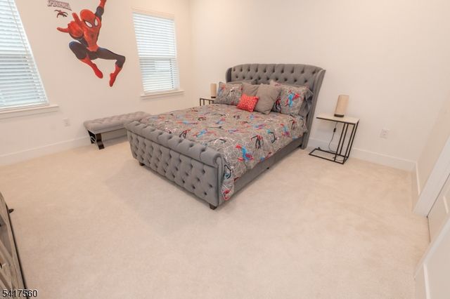 18 Flower Horn Blvd, Randolph Twp., NJ 07869