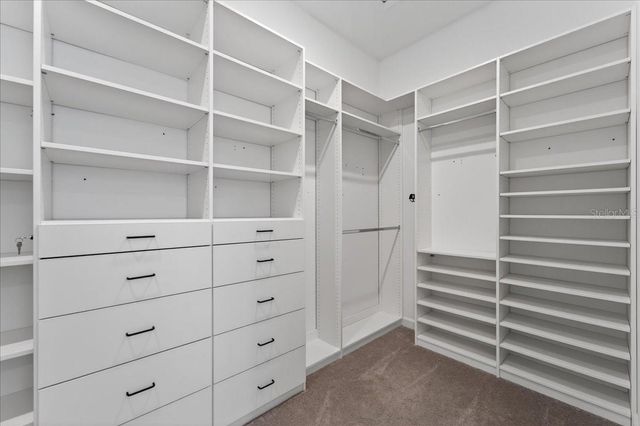 17173 SCUBA CREST STREET, Wimauma, FL 33598