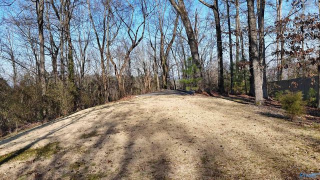 1513 Amber Lane, Guntersville, AL 35976