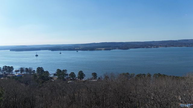 1513 Amber Lane, Guntersville, AL 35976