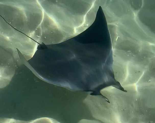 381 Santa Rosa Blvd Boulevard, W515, Fort Walton Beach, FL 32548