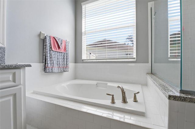 17434 ISBELL LANE, Odessa, FL 33556