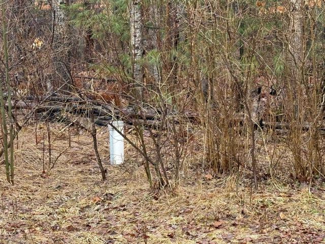 8211 W Moorestown Road, Manton, MI 49663