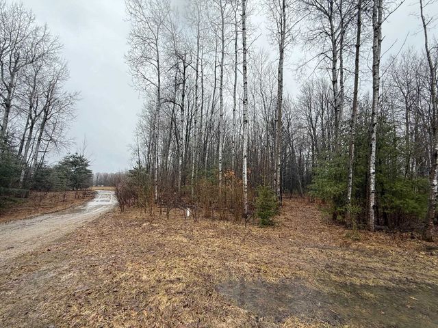 8211 W Moorestown Road, Manton, MI 49663