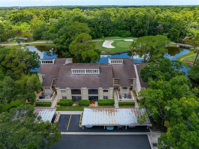 60 ST ANDREWS PLACE 60, Oldsmar, FL 34677