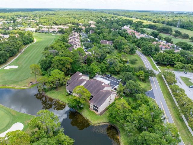 60 ST ANDREWS PLACE 60, Oldsmar, FL 34677