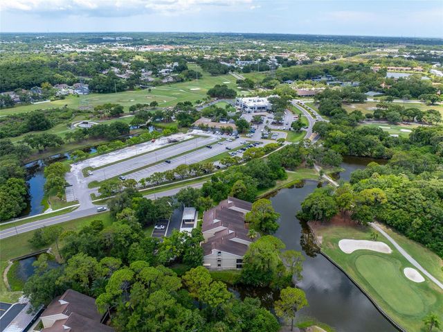 60 ST ANDREWS PLACE 60, Oldsmar, FL 34677
