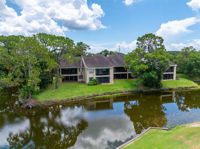 60 ST ANDREWS PLACE 60, Oldsmar, FL 34677