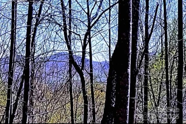 153 Westridge Drive, Bostic, NC 28018