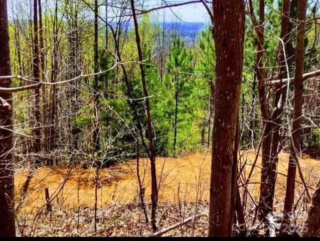 153 Westridge Drive, Bostic, NC 28018