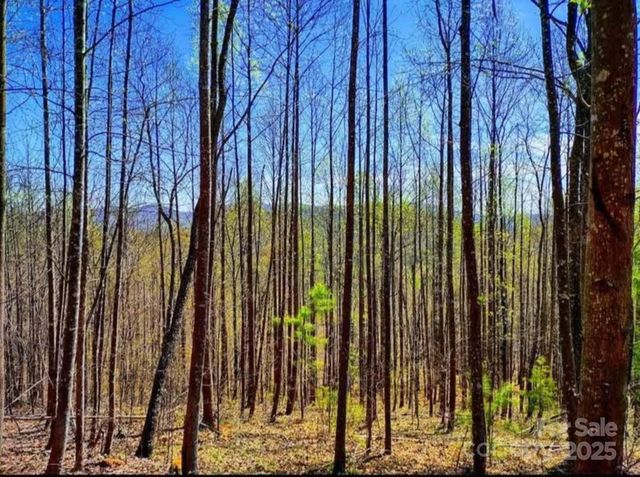 153 Westridge Drive, Bostic, NC 28018