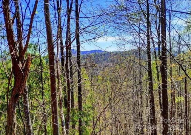 153 Westridge Drive, Bostic, NC 28018