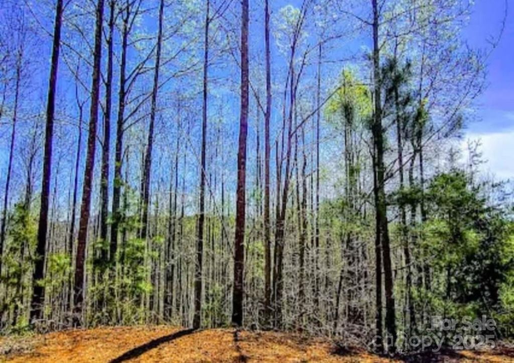 153 Westridge Drive, Bostic, NC 28018