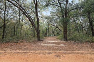 102 DAVID DRIVE, Interlachen, FL 32148