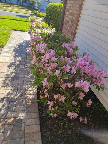 14908 PALMCREST PLACE, Tampa, FL 33625