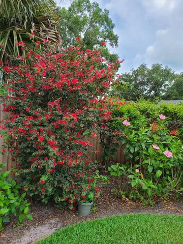 14908 PALMCREST PLACE, Tampa, FL 33625