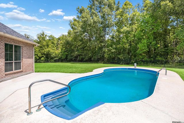 29700 Henderson Ln, Walker, LA 70785