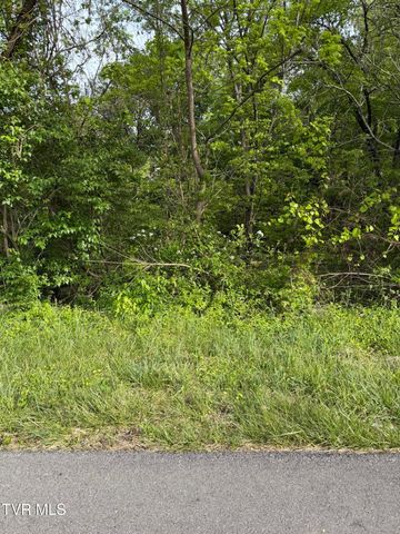 1725 Reedy Creek Road, Kingsport, TN 37664