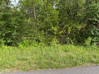 1725 Reedy Creek Road, Kingsport, TN 37664