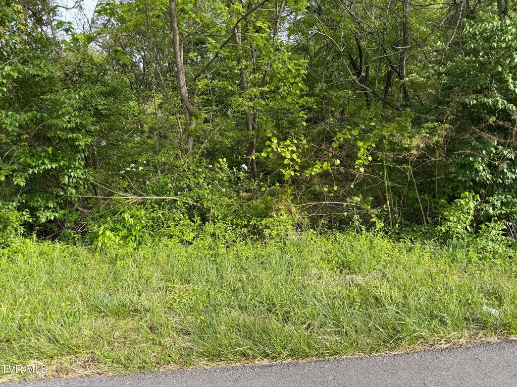 1725 Reedy Creek Road, Kingsport, TN 37664