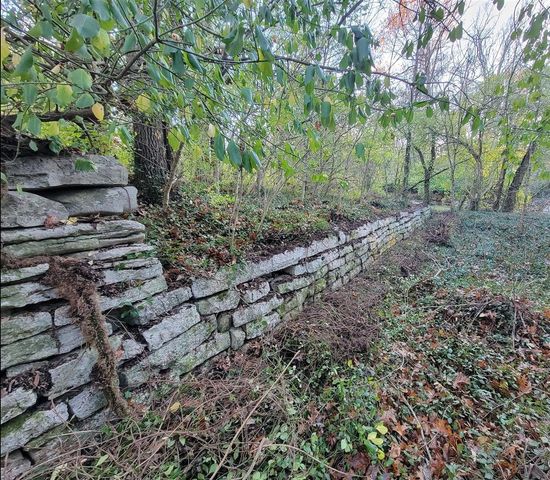 987 Pauls Mill Road, Versailles, KY 40383