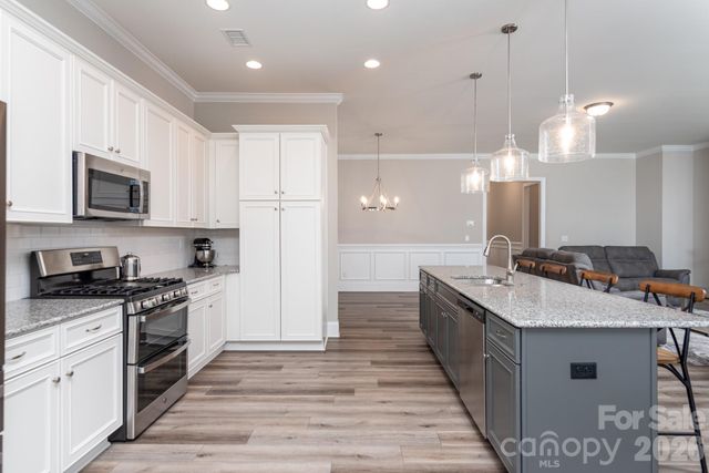 14309 Cameryn Elise Drive, Cornelius, NC 28031