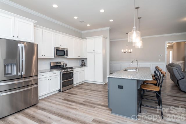 14309 Cameryn Elise Drive, Cornelius, NC 28031