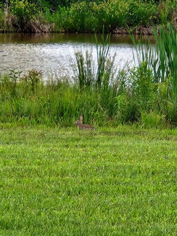 711 Becky Jane Road, Frenchburg, KY 40322