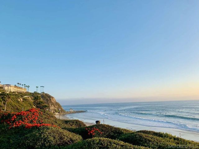 24345 Vista Point Ln, Dana Point, CA 92629