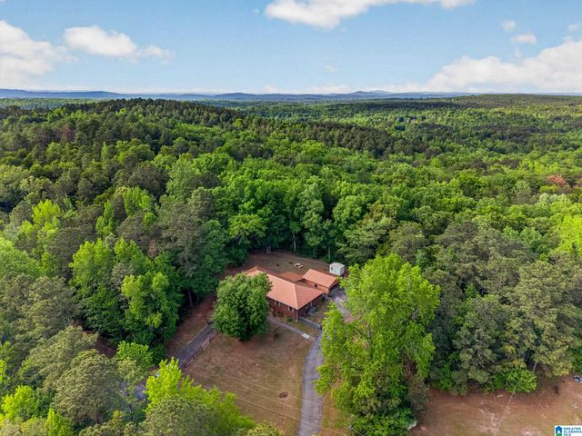2641 SETTLEMENT ROAD, Sylacauga, AL 35150