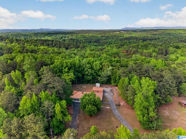 2641 SETTLEMENT ROAD, Sylacauga, AL 35150