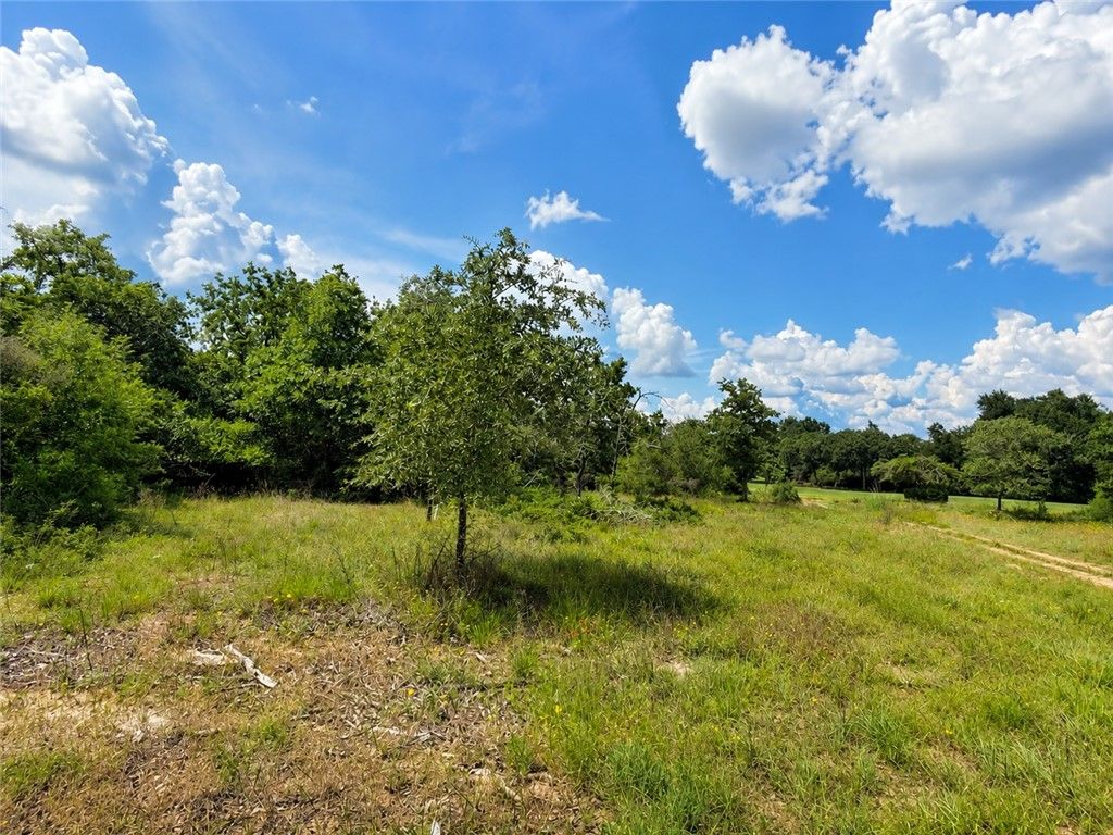 TBD Golf Way Lane, Hilltop Lakes, TX 77871 — photo 3