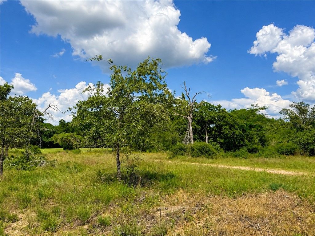 TBD Golf Way Lane, Hilltop Lakes, TX 77871 — photo 5