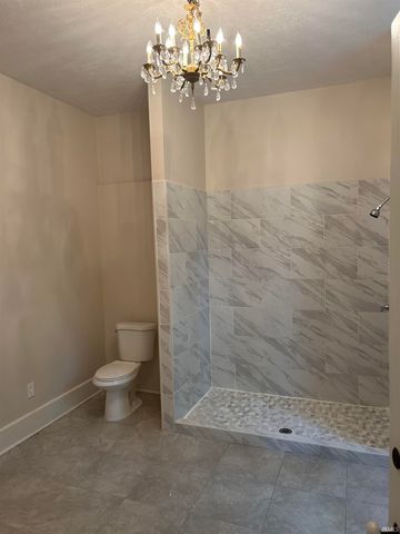 732 W Michigan Street, New Carlisle, IN 46552