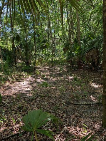 0 NW 202ND PLACE, Mc Intosh, FL 32664