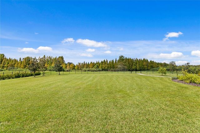 10521 BROADLAND PASS, Thonotosassa, FL 33592