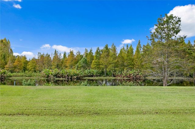 10521 BROADLAND PASS, Thonotosassa, FL 33592