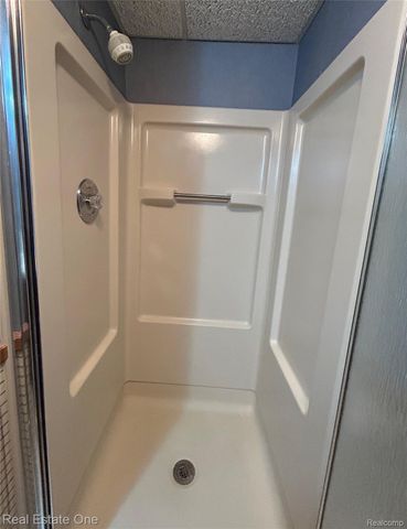 11734 Shenandoah Drive 3, Green Oak Township, MI 48178