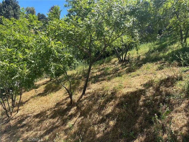 3721 Ventura Canyon, Sherman Oaks, CA 91423
