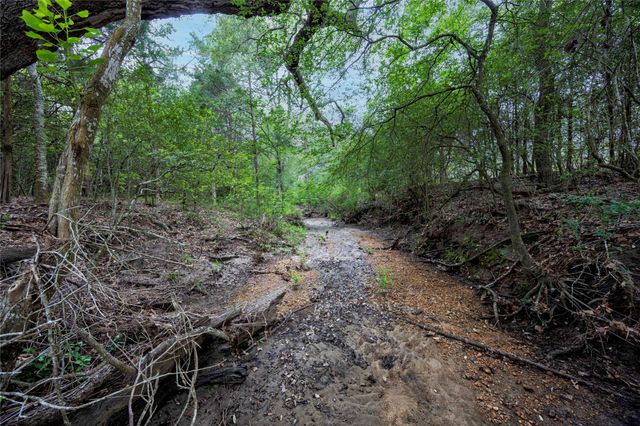 2570 Burke Road, Flatonia, TX 78941