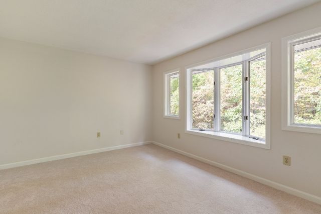 1005 Sherwood Forest Lane 1005, Saugus, MA 01906