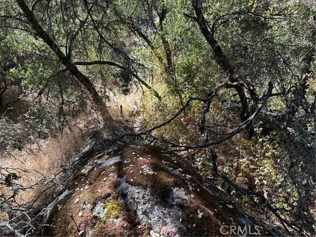 4275 Ashworth Road, Mariposa, CA 95338