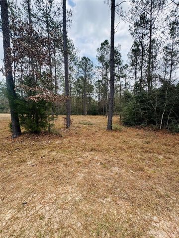 2071 Camp Seale Road, Livingston, TX 77351