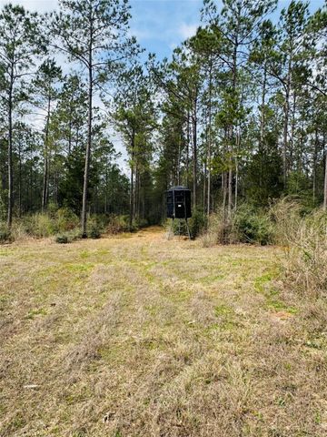 2071 Camp Seale Road, Livingston, TX 77351