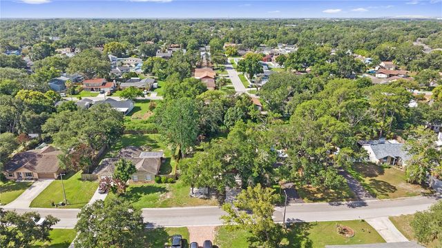1917 DOVE FIELD PLACE, Brandon, FL 33510