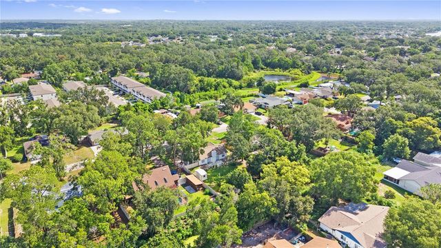 1917 DOVE FIELD PLACE, Brandon, FL 33510