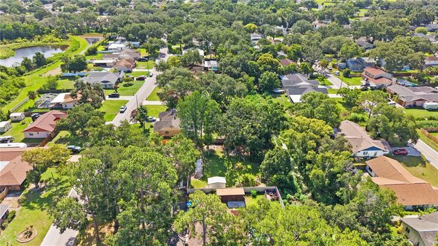 1917 DOVE FIELD PLACE, Brandon, FL 33510